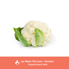 Cauliflower Powder - iyafoods