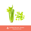 Celery Powder - iyafoods